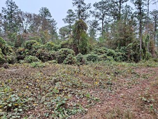 0 1 Acre Hwy 612, Lucedale, MS 39452