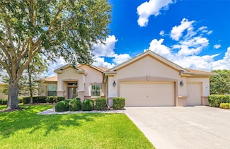 9017 SE 119th St, Summerfield, FL 34491