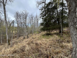53625 Kenai Spur Hwy, Nikiski/North Kenai, AK 99635