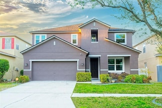 11118 Golden Silence Dr, Riverview, FL 33579