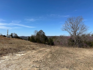 3 Deer Meadows Ln, Yellville, AR 72687