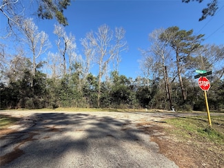 21927 Holly Ln, New Caney, TX 77357