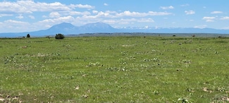 TBD Turkey Ridge E, Walsenburg, CO 81089