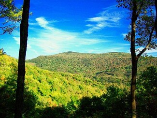 1021 Summit Highlands Trail Unit Sunset Village, Slaty Fork, WV 26291