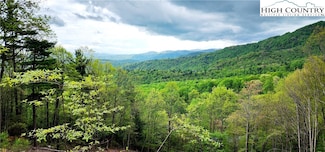 TBD Ivy Ridge Rd, Deep Gap, NC 28618