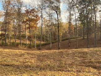 Lot 104 High River Rd, Ellijay, GA 30540
