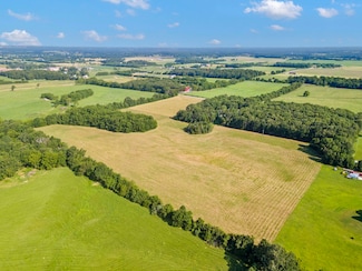 000 E Farm Rd 174, Rogersville, MO 65742