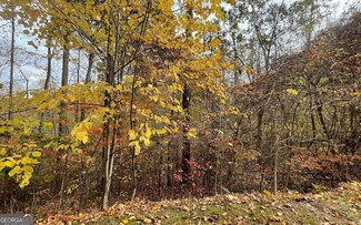 LOT 5A Ann's Ln, Hayesville, NC 28904