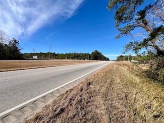 0 Highway 43 Tract A, Mount Vernon, AL 36560