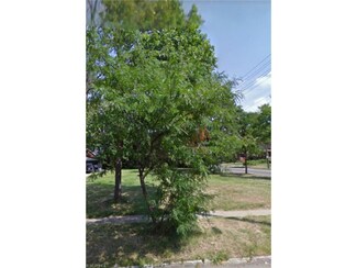 1521 E 108th St, Cleveland, OH 44106