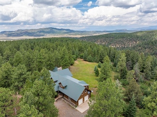 473 N Black Bear Place, Pagosa Springs, CO 81147
