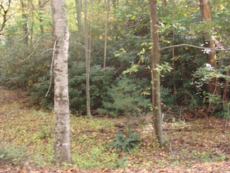 TBD Beaver Trail, Fancy Gap, VA 24328