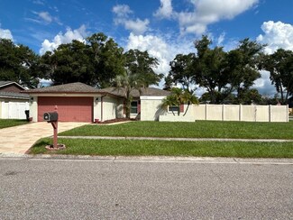 6501 Crystal Brook Dr, Tampa, FL 33625