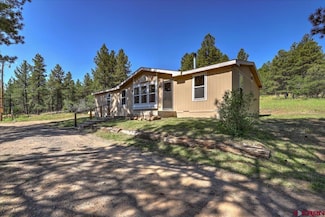 29 Baldwin Ct, Pagosa Springs, CO 81147