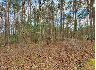 195 Owl Dr, Youngsville, NC 27596