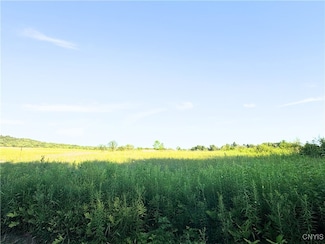 0 Tassel Hill Rd N Unit S1626755, Marshall, NY 13328