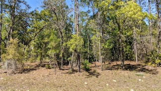 0 SW 97th Place Unit MFRTB8399604, Dunnellon, FL 34431