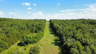 3505 SE 1379 Rd, Weableau, MO 65774