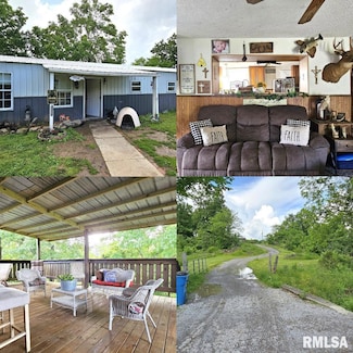 16118 Log Cabin Rd, Johnston City, IL 62951