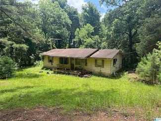 2525 Louina Rd, Roanoke, AL 36274