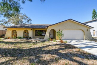 1314 Vermont Ave, Tarpon Springs, FL 34689