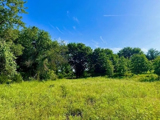 Lot 53 Wicklow Ct, Poolville, TX 76487