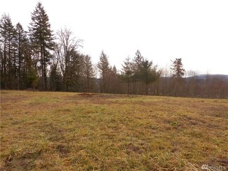 0 Rainier Dr Unit 885659, Mossyrock, WA 98564
