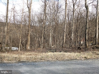 0 Ridge Top Ln, Shenandoah, VA 22642
