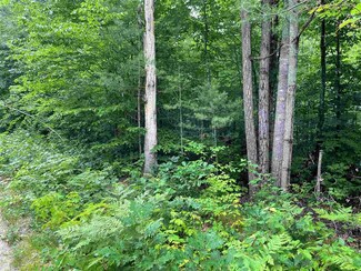 42 Moose Ridge Rd, Ossipee, NH 03864