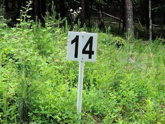 LOT 14 Belle Isle Dr, Union Hall, VA 24176