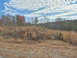 00 Highgrove Dr, Ellijay, GA 30540