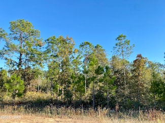 Lot 128 Nezperce Dr, Alford, FL 32420
