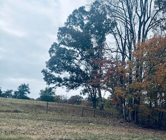 0 Scruggs Rd, Moneta, VA 24121