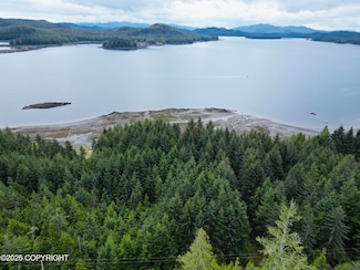 3A & 3B N Entrance Subdivision, Whale Pass, AK 99950