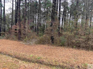 0 Greenbriar Forest Cir, Texarkana, TX 75503