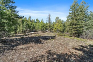 21467 Alta Dr, Morrison, CO 80465