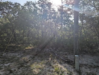 19036 Retriever Rd, Brooksville, FL 34614