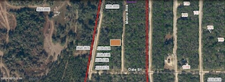 00 Morris Ave, Interlachen, FL 32148