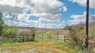 100 AC Cr 108 County Rd, Leona, TX 75850