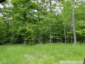 L7, B2 Cardarelle Ct, Hackensack, MN 56452