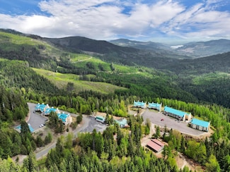28600 N Mount Spokane Park Dr Unit 607, Mead, WA 99021