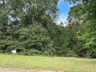 109 Burleyson Dr, McDonough, GA 30253