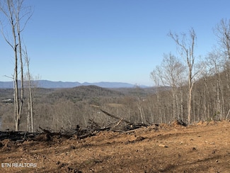 311 Tate Coley Rd, Lenoir City, TN 37771