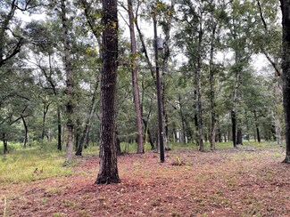156 Palmetto Pointe Rd, Edisto Island, SC 29438