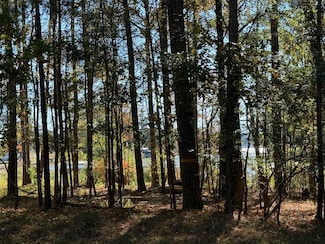 315 Sinclair Rd, Eatonton, GA 31024