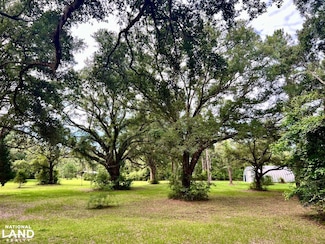 1102 Jessica Ln, Caryville, FL 32427