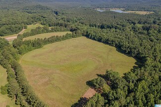 0 Mulberry Fork Dr Unit 1326459, Hayden, AL 35079