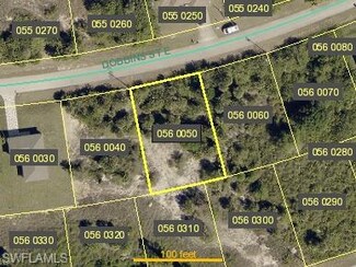 926 Dobbins St E, Lehigh Acres, FL 33974