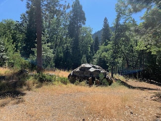 103 Lewis Ln, Sierra City, CA 96125
