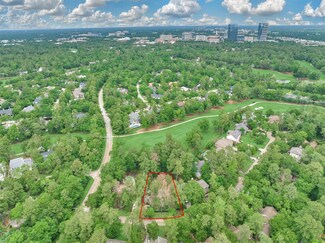 5 Coralvine Ct, Spring, TX 77380